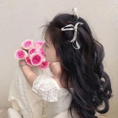贤者之爱海报
